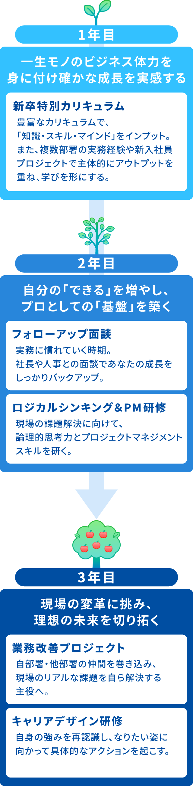 入社後の成長イメージ